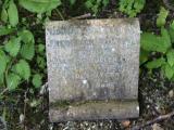 image of grave number 411631